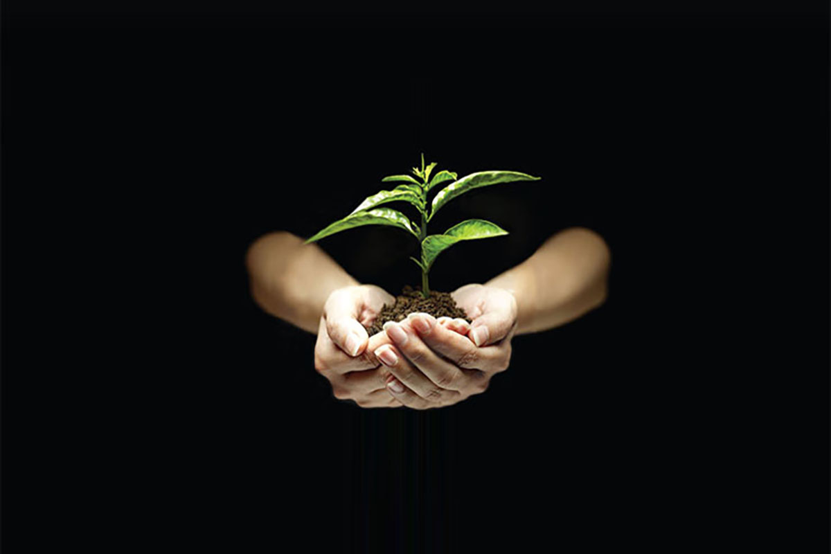 Trusted investment partnership